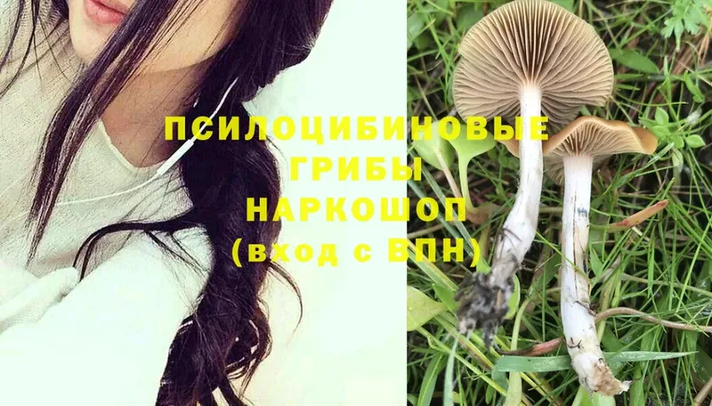 где продают   Котельниково  Галлюциногенные грибы MAGIC MUSHROOMS 